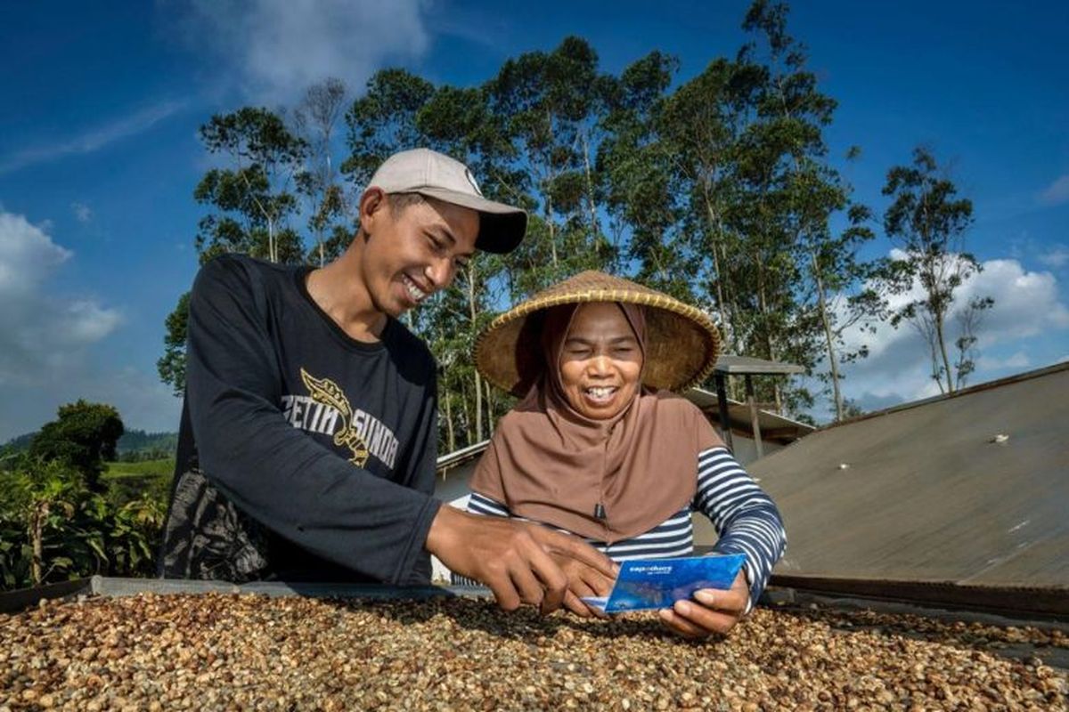 KUR BRI naikkan rata-rata pendapatan debitur UMKM sebesar 32 hingga 50 persen. 