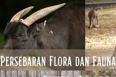 Faktor yang Mempengaruhi Persebaran Flora dan Fauna