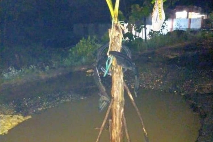 Ruas Jalan di Kabupaten Blora ditanami pohon pisang