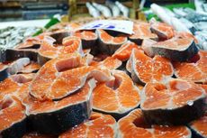 Virus Corona Dapat Bertahan di Ikan Salmon Beku Seminggu Lebih