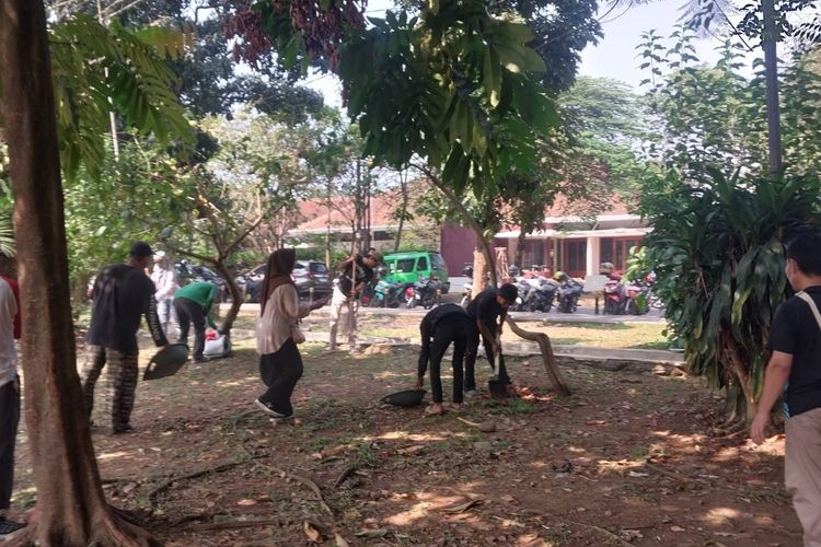 Gitar Berganti Sapu, Pengamen di Bogor Ikut Padat Karya: Tidak Mau Ngamen Terus