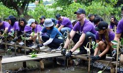 FedEx Berencana Merestorasi Mangrove di Area 10 Hektar Bengkalis