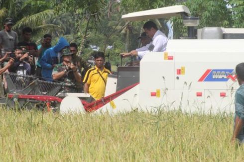 Panen Raya di Poso, Mentan Ajak Mantan Napi Teroris Bertani