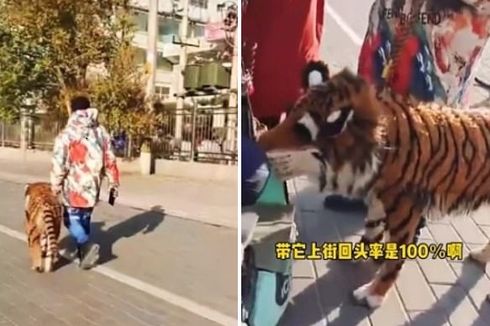 Video Viral Pria di China Bawa 