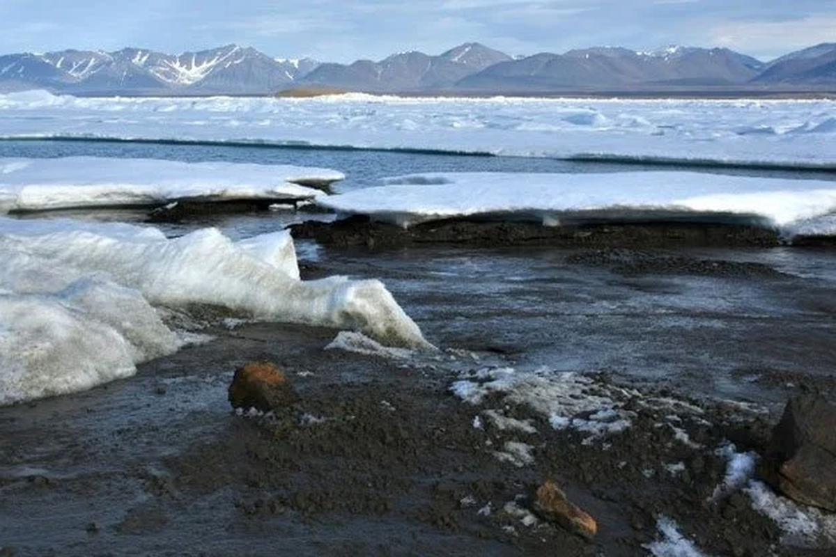 Pulau yang ditemukan di dekat Greenland disebut sebagai pulau paling utara di planet ini