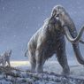 Studi Ungkap Manusia Bukan Penyebab Mammoth Punah