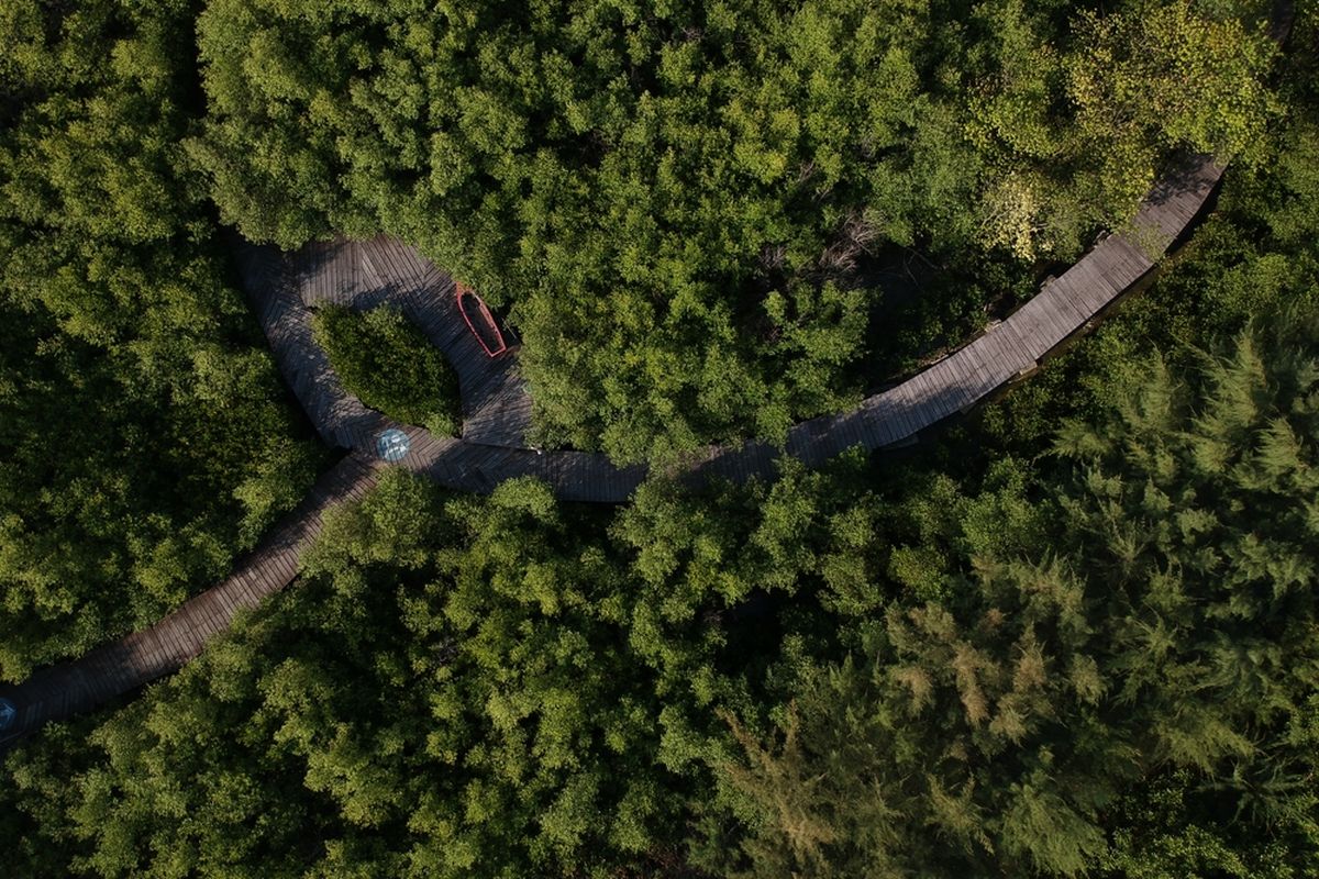 Kebun Raya Mangrove Surabaya di Gunung Anyar, Surabaya