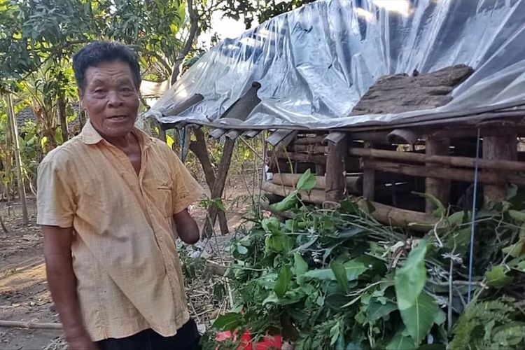 CARI RUMPUT—Usai berjualan es lilin keliling, Meseri mencari rumput untuk kambing titipan tetangganya.