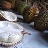 Sampah Kulit Durian di Bangka Capai 8 Ton per Hari
