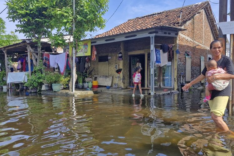 Warga Kaligawe Semarang Bertahan Dihantam Banjir, Khawatir Barang Dicuri jika Mengungsi