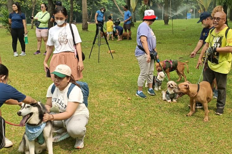 Komunitas Dog Lover saat menggelar kampanye cinta anabul di Taman Semanggi, Jakarta Pusat, Minggu (27/11/2022). Tujuan kampanye itu, komunitas Dog Lover ingin mensosialisasikan kepada masyarakat bahwa hewan peliharaan tidak perlu dilarang saat gelaran Car Free Day (CFD) di Jakarta. 