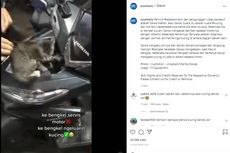 Terdengar Bunyi Aneh, Ternyata Kucing Terjebak di Bodi Motor