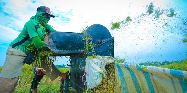 Penggunaan mesin perontok mempercepat proses panen dan menjadi bagian dari upaya Kementan meningkatkan produktivitas pertanian nasional.