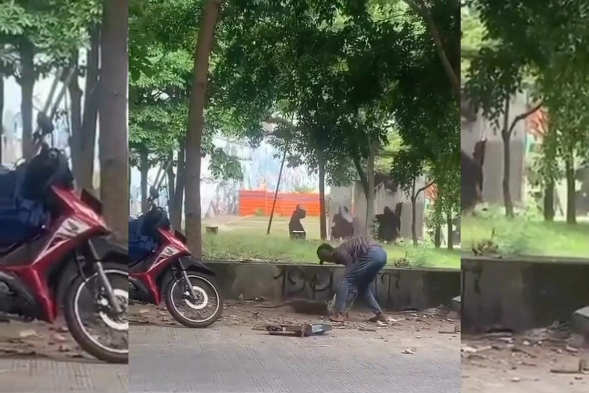 Seorang pria membanting monyet di kawasan Sunter Jaya, Tanjung Priok, Jakarta Utara pada Minggu (30/4/2023$.