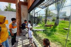 Gembira Loka Zoo Batasi Wahana Interaksi dengan Satwa, Cegah Wabah PMK