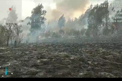Kebakaran di Gunung Argopuro Meluas Capai 205,3 Hektar