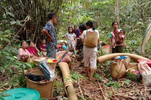 Terdampak Banjir Kalsel, Desa Dayak Meratus Rusak Diterjang Longsor, Warga: 4 Lumbung Padi Kami Rusak