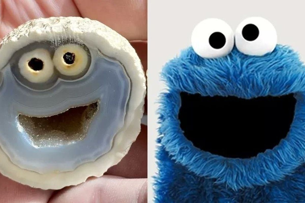 Seorang kolektor batu di Brazil menemukan batu akik ini, sejenis kuarsa yang berkembang di batuan vulkanik, yang terlihat seperti Cookie Monster dalam serial Sesame Street. 