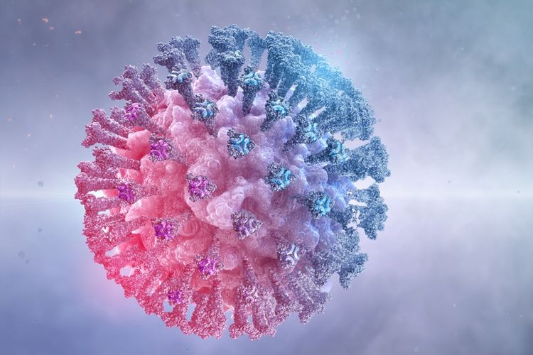 Ilustrasi varian Omicron membawa banyak mutasi virus corona. Studi baru, peneliti ungkap varian virus Omicron membawa mutasi dari gen virus flu biasa.