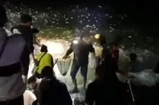 Jutaan Ikan Terbang ke Darat di Pantai Jabar, Apakah Pertanda Bahaya?