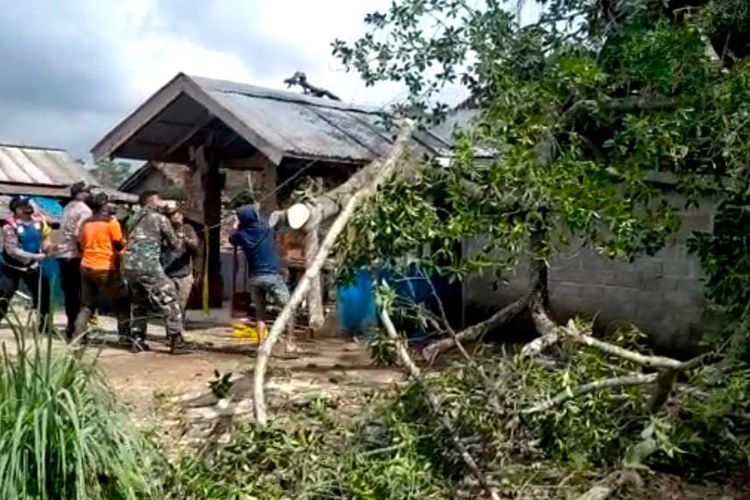 Petugas dan warga di Dusun Bodag, Desa Wonorejo, Kecamatan Puncu, Kabupaten Kediri, membersihkan pohon karet yang menimpa rumah warga.