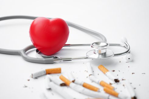 16 Penyebab Penyakit Jantung, Penyakit sampai Gaya Hidup Tak Sehat