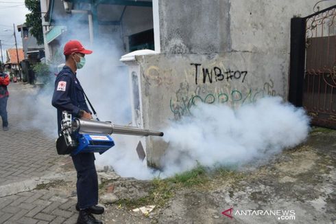 Di Kota Tangerang, Ada 88 Kasus Cikungunya