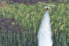 Kebakaran Hutan di Kanada Telah Hanguskan 10 Juta Ha Tahun Ini, Setara Luas Portugal atau Islandia