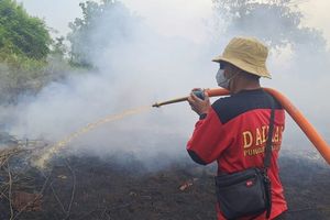 Kemenhut Periksa 4 Perusahaan Terkait Karhutla Kalbar, Ini Profil 2 Pemegang Konsesinya