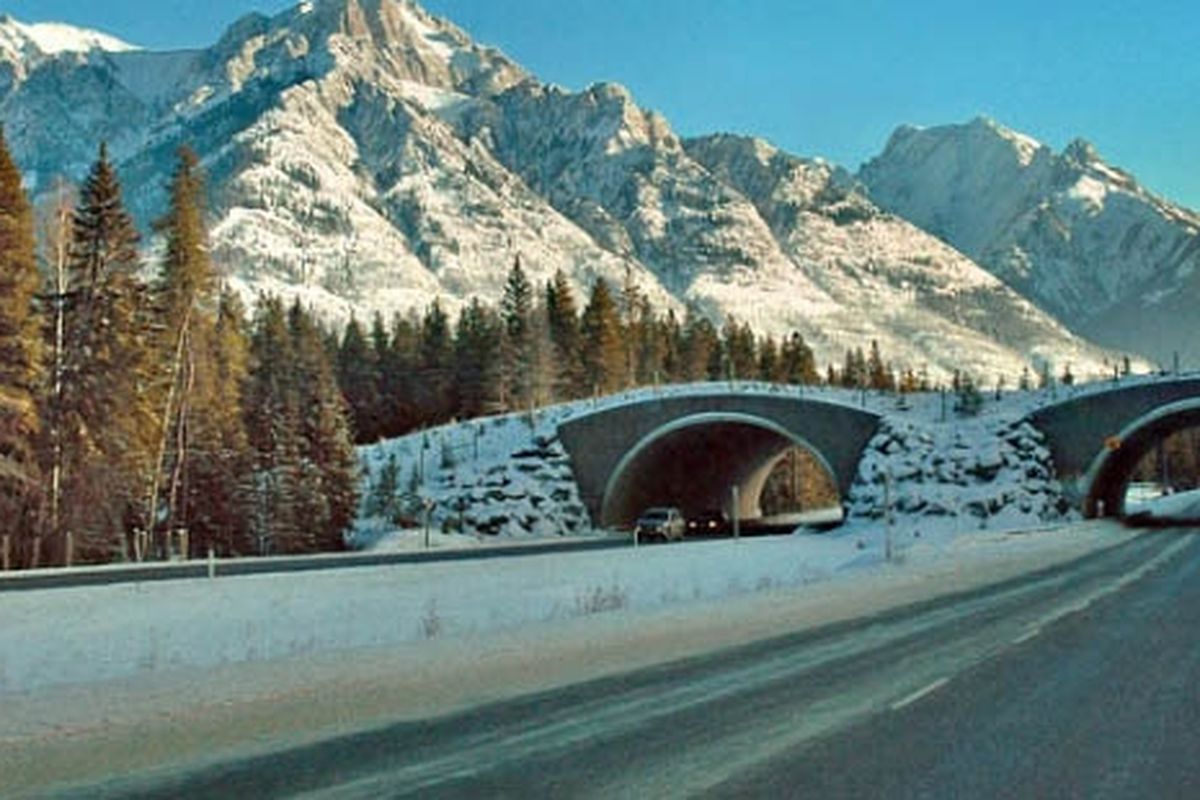 Inilah jalan tol Trans-Canada Highway yang akan dipasang 1.000 stasiun pengisian listrik pada 2013.