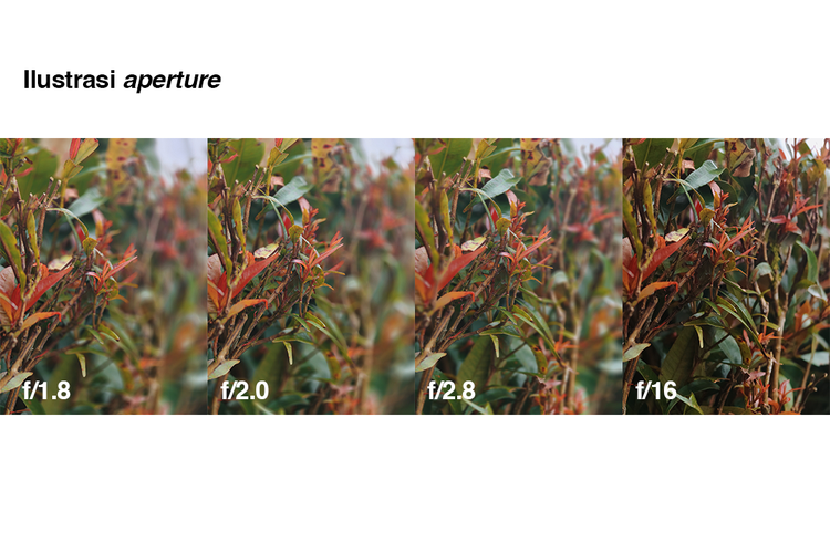 Ilustrasi perbandingan pengaturan aperture (f) dari kamera Realme 12 Pro Plus