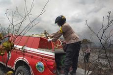 Puluhan Hektar Lahan Hutan Way Kambas Terbakar, Polisi Buru Pelaku