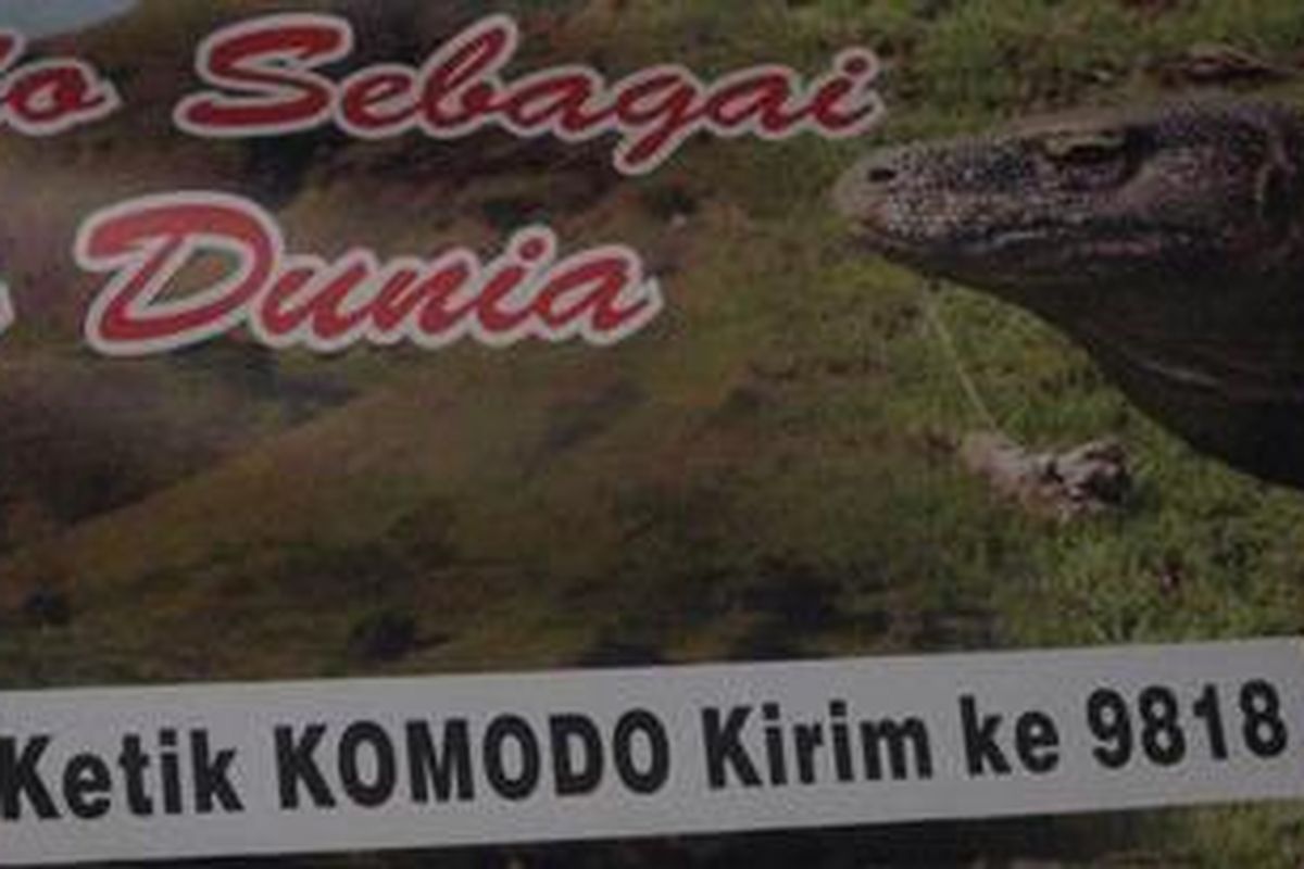 Dukungan untuk komodo sebagai tujuh keajaiban baru dunia. 