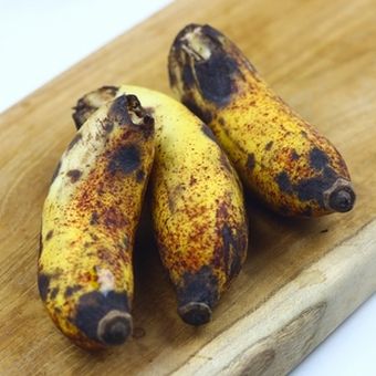Buah pisang busuk yang digunakan untuk membuat MOL