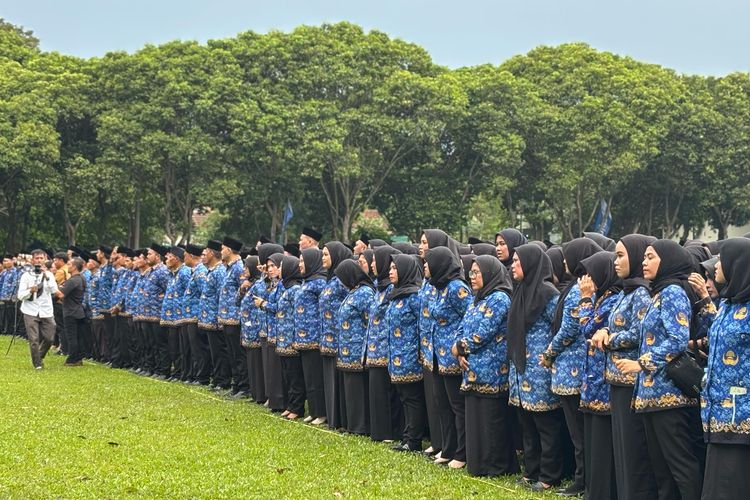 Ilustrasi PPPK. Cara cek NIP PPPK paruh waktu. Mola BKN cek NIP PPPK paruh waktu.