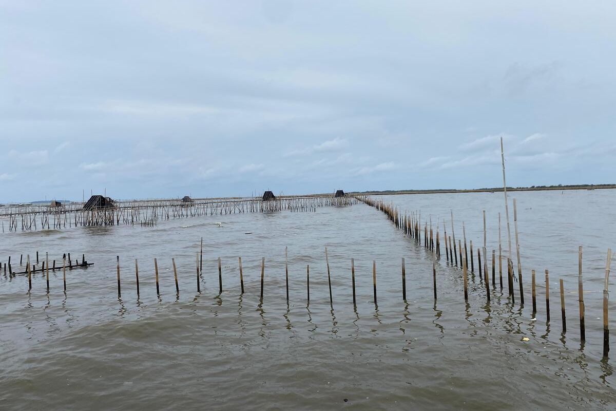 Kesaksian Warga: Pagar Laut Dibuat Pekerja dengan Jalan Kaki ke Tengah Laut