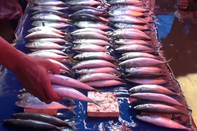 Harga Ikan Melambung 100 Persen, Pedagang Dituding Manfaatkan Anomali Cuaca Untuk Dongrak Harga Ikan