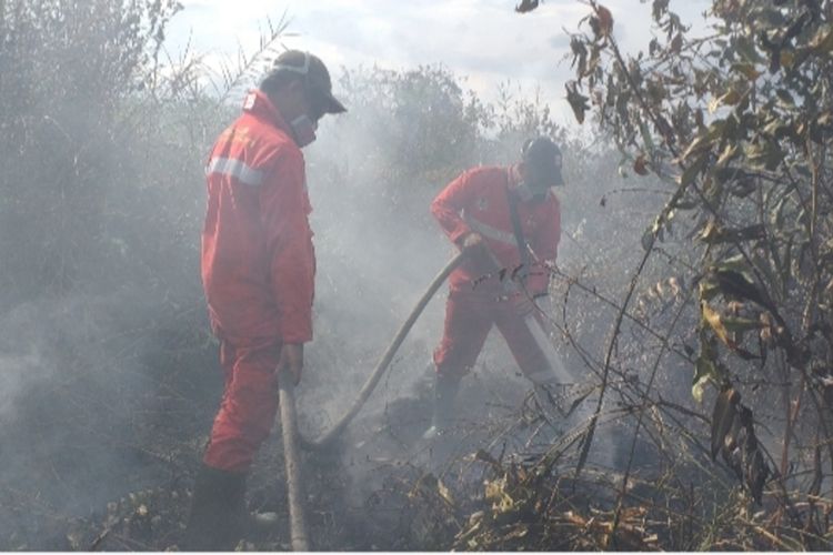 Kebakaran hutan dan lahan yang pernah terjadi pada 2020 lalu di Provinsi Riau.