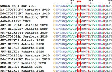 Hasil analisis tim Professor Nidom Foundation (PNF) terkait mutasi virus corona di Indonesia. Dari data tersebut, jenis virus D614G yang dapat menular 10 kali lebih cepat dibanding jenis lain juga ada di Indonesia sejak Maret 2020.