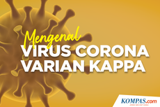 INFOGRAFIK: Mengenal Virus Corona Varian Kappa