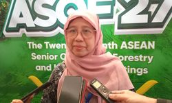 Jaga Keberlanjutan Mangrove, Indonesia Ajak Negara ASEAN Kolaborasi