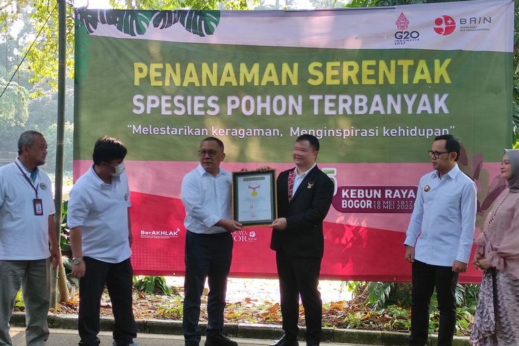 Kebun Raya Bogor mendapat penghargaan dari Museum Rekor Indonesia (MURI) dalam kegiatan penanaman spesies pohon terbanyak, Rabu (18/5/2022). Selain itu, MURI juga mencatatnya sebagai pemecah rekor dalam kegiatan penanaman pohon secara serentak di seluruh kebun raya.