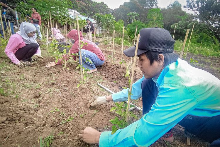 Aktivitas para petani disabilitas di Kota Cimahi, Jawa Barat di lahan 5.000 meter persegi.