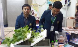 Jurus Jitu Bangkitkan Pertanian Indonesia