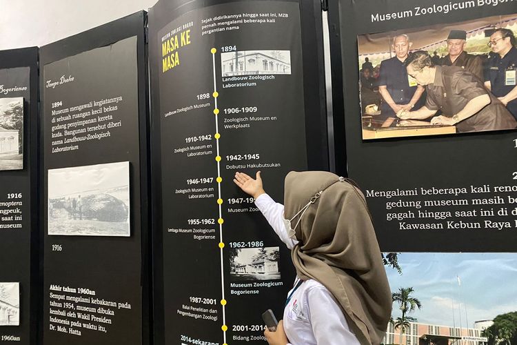 Petugas Museum Zoologi Bogor sedang menjelaskan sejarah museum, Sabtu (4/2/2023). 