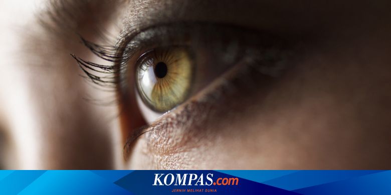 Jangan Sepelekan 5 Masalah Mata Ini Halaman All Kompas Com