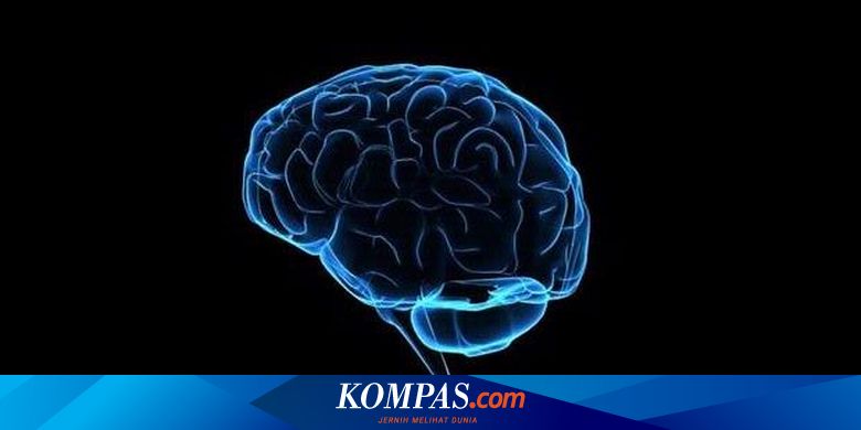 Makin Bodoh Jangan Salahkan Usia Anda Halaman All Kompas Com