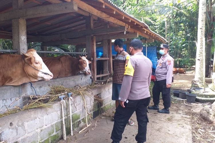 Petugas sedang melakukan pengecekan dan vaksinasi di salah satu peternakan milik warga di Purworejo 