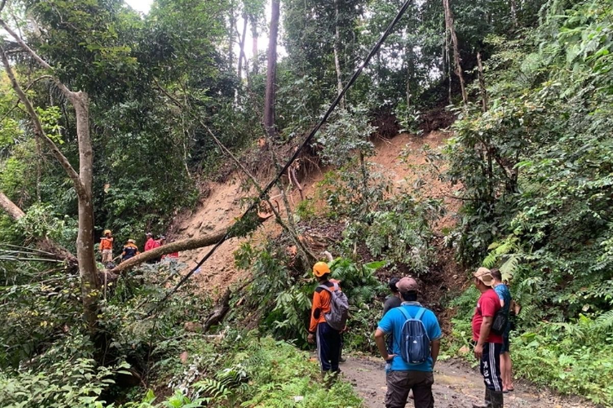 Petugas saat melakukan pembersihan di jalur menuju ke Sukamade 