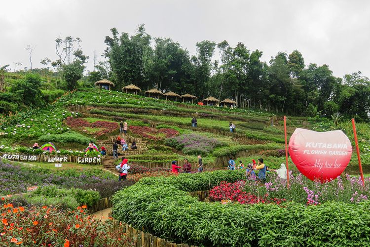 Kutabawa Flower Garden Purbalingga.